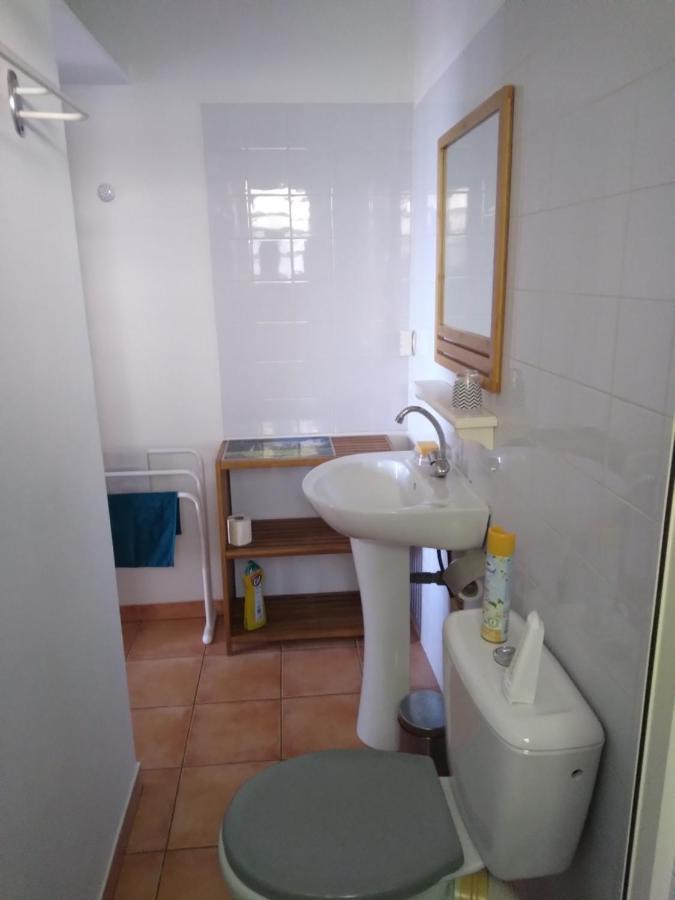 Studio Aux Avirons Pour 2 Personnes, Avec Piscine Les Avirons Bagian luar foto